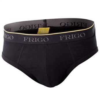 Frigo Brief 1-3101 CSA